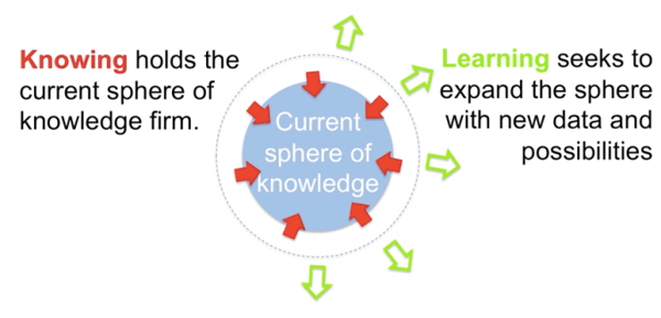 Knowing vs Learning NSR Blog Image